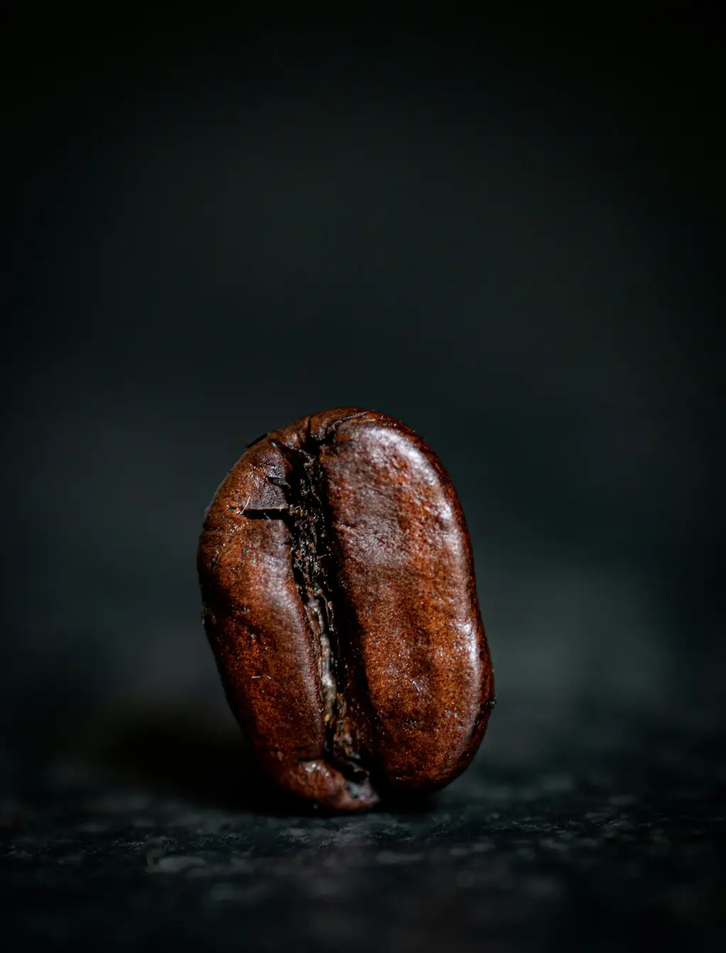 目錄：
