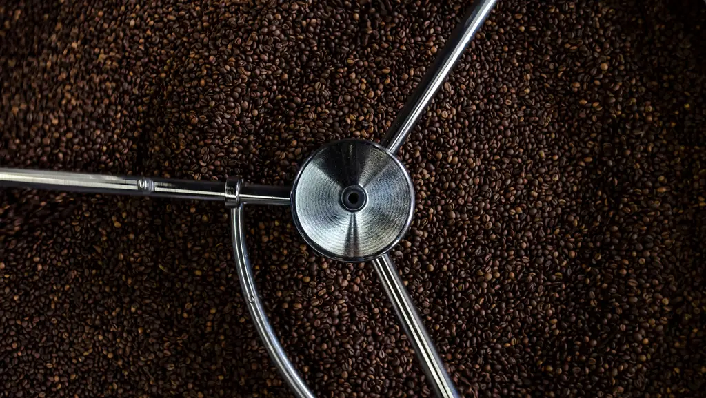 拉花之皇：細說Latte咖啡的極致美味