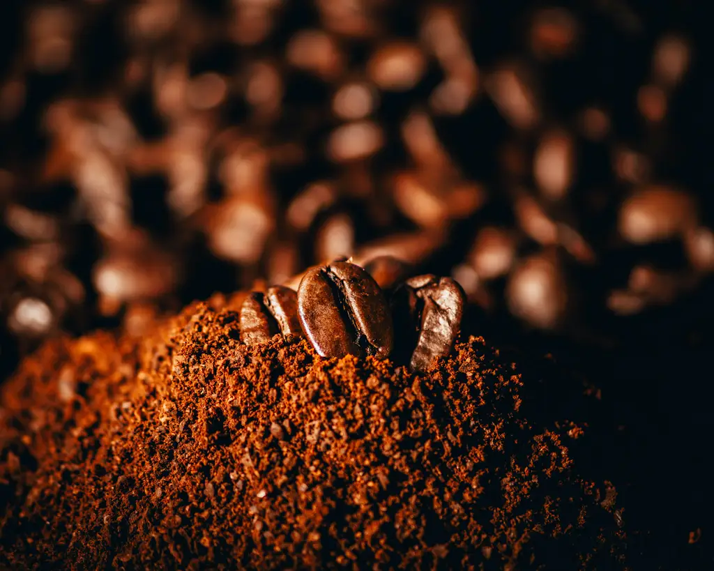 台灣限定！濃縮咖啡昇華進化：Latte拿鐵究極指南