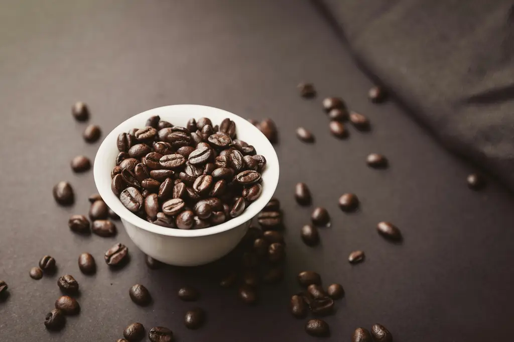 冰拿鐵的極致享受：NESPRESSO完美冷萃
