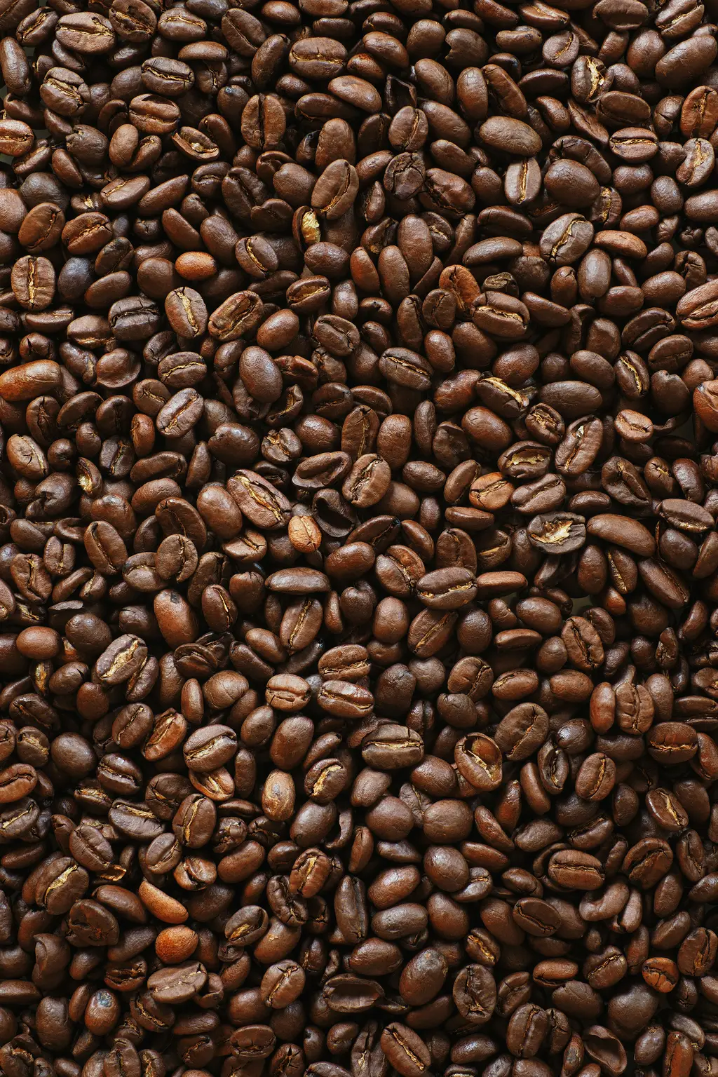 Starbucks拿鐵：台灣咖啡文化的經典之作