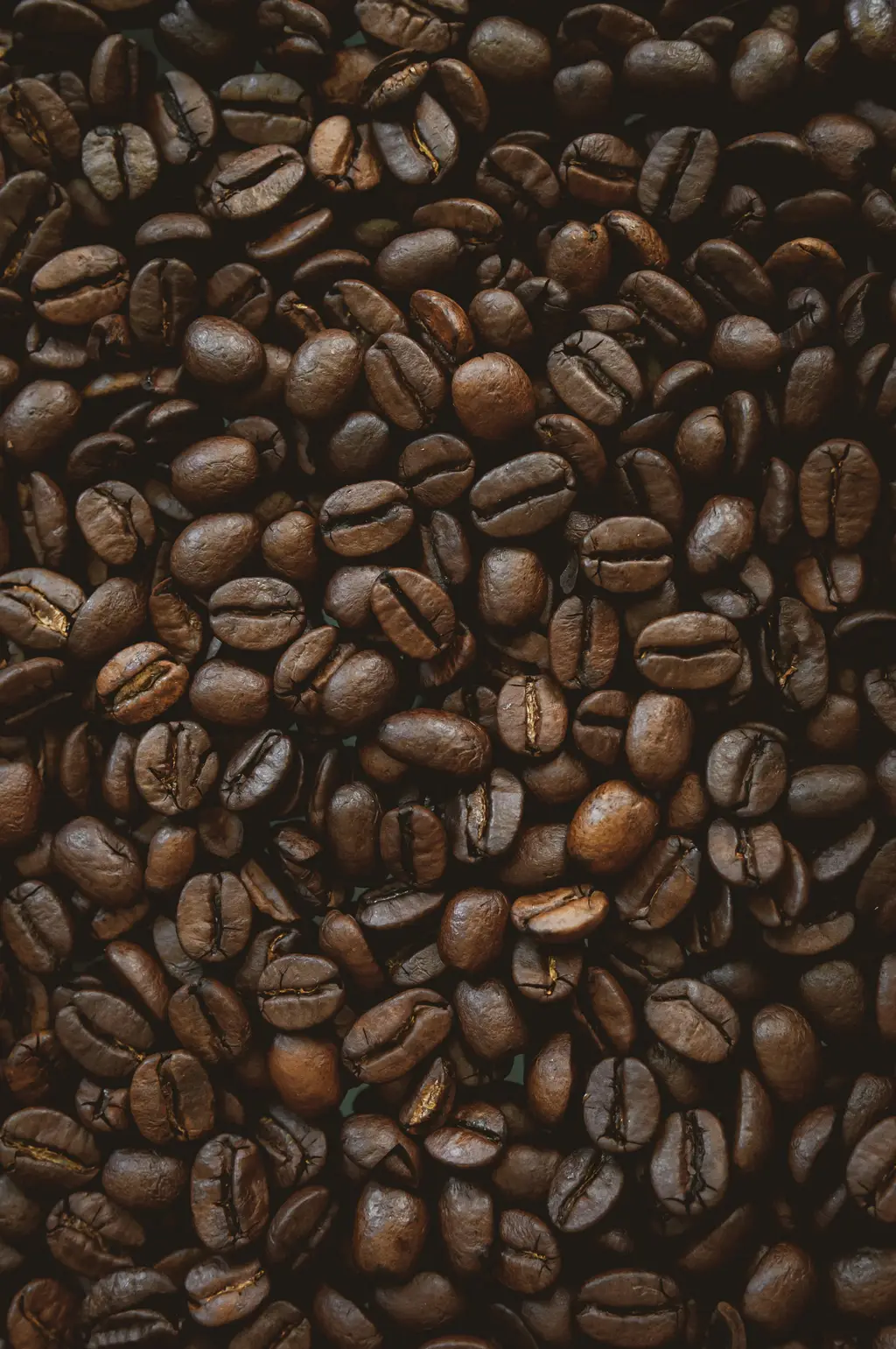 二合一拿鐵推薦：探索咖啡與牛奶的完美結合
