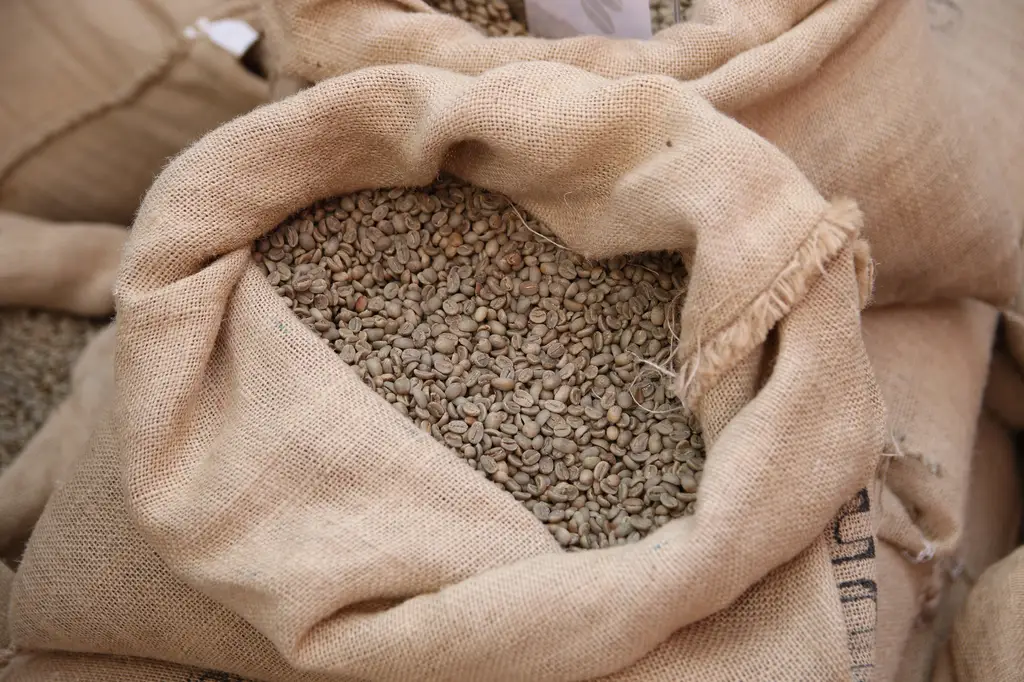 冰拿鐵奶泡的完美指南：打造綿密滑順的極致體驗