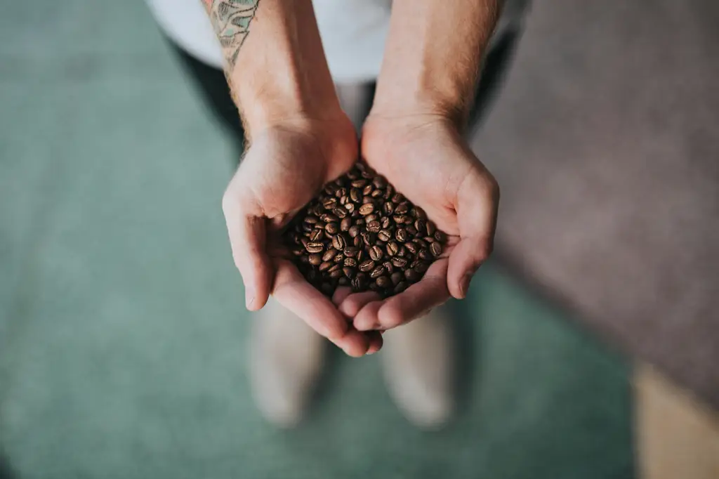 台灣人超愛的即溶咖啡latte